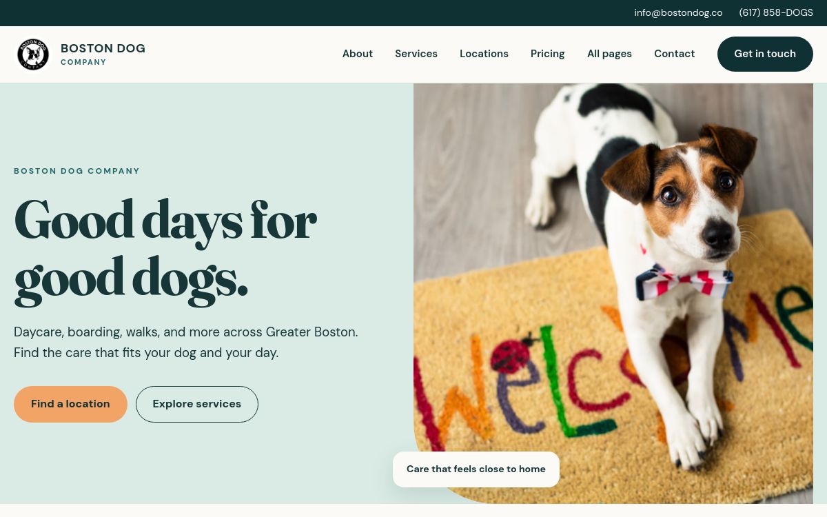 Preview of the Boston Dog Company website redesign